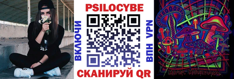 Купить закладки  Нарткала  Псилоцибиновые грибы прущие грибы 